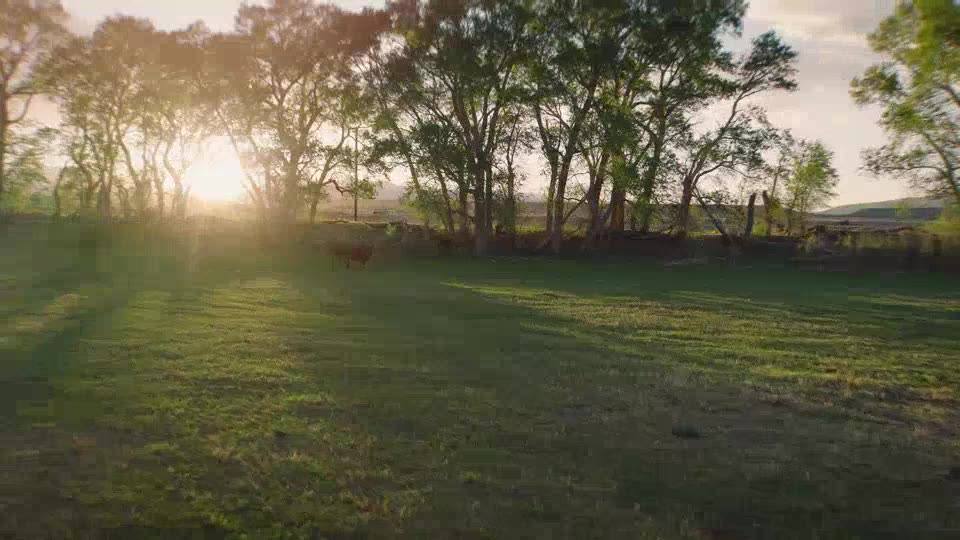 Land, Ranch & Mountain Living